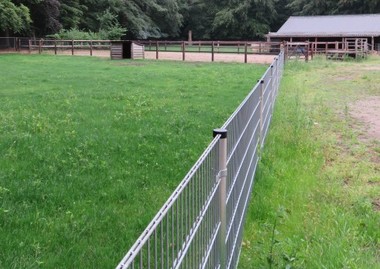 Barenbrug Holland helps Children’s farm Buiten'Gewoon' - The Netherlands