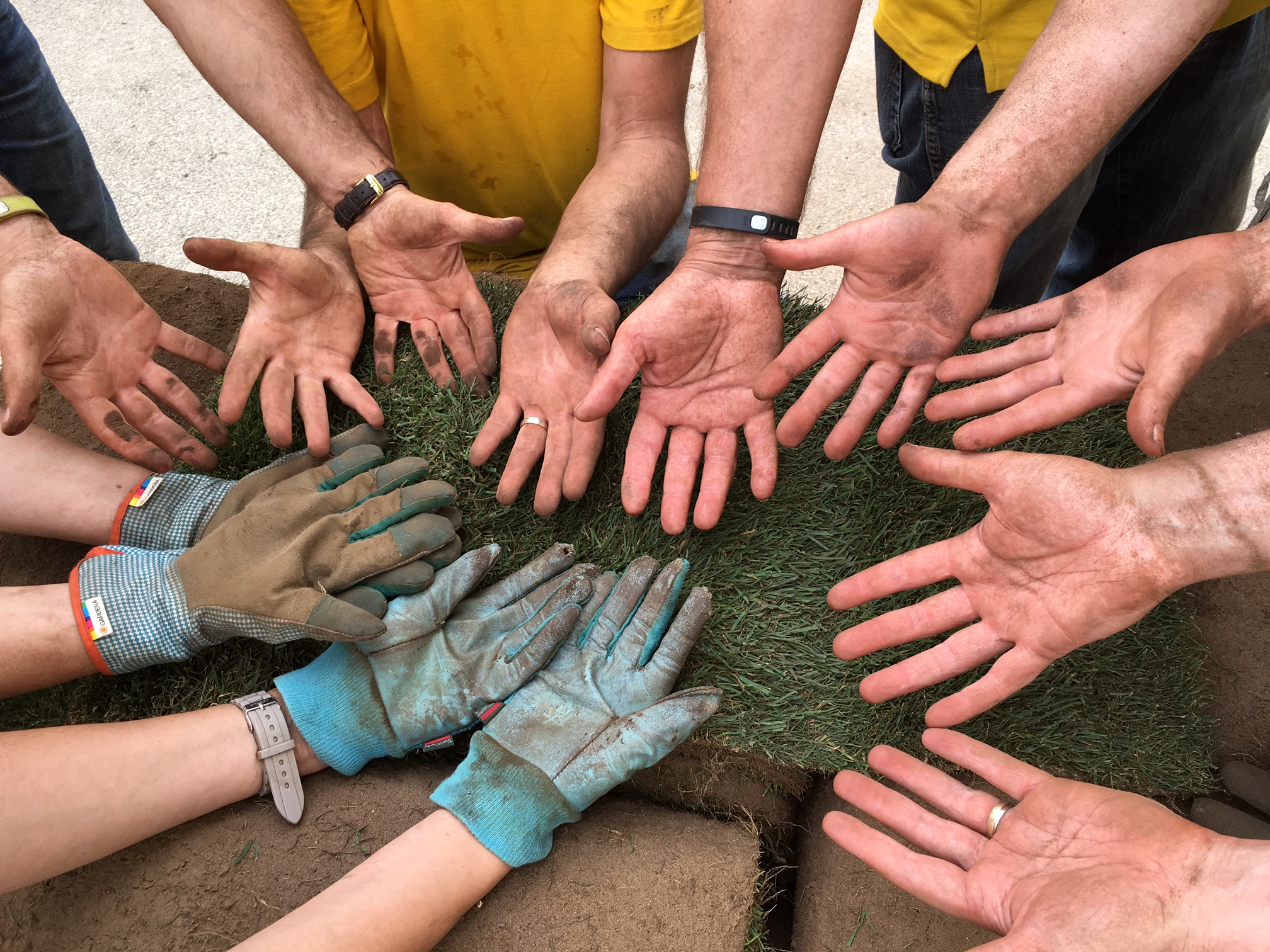 Holding staff and Board engaged volunteer support
