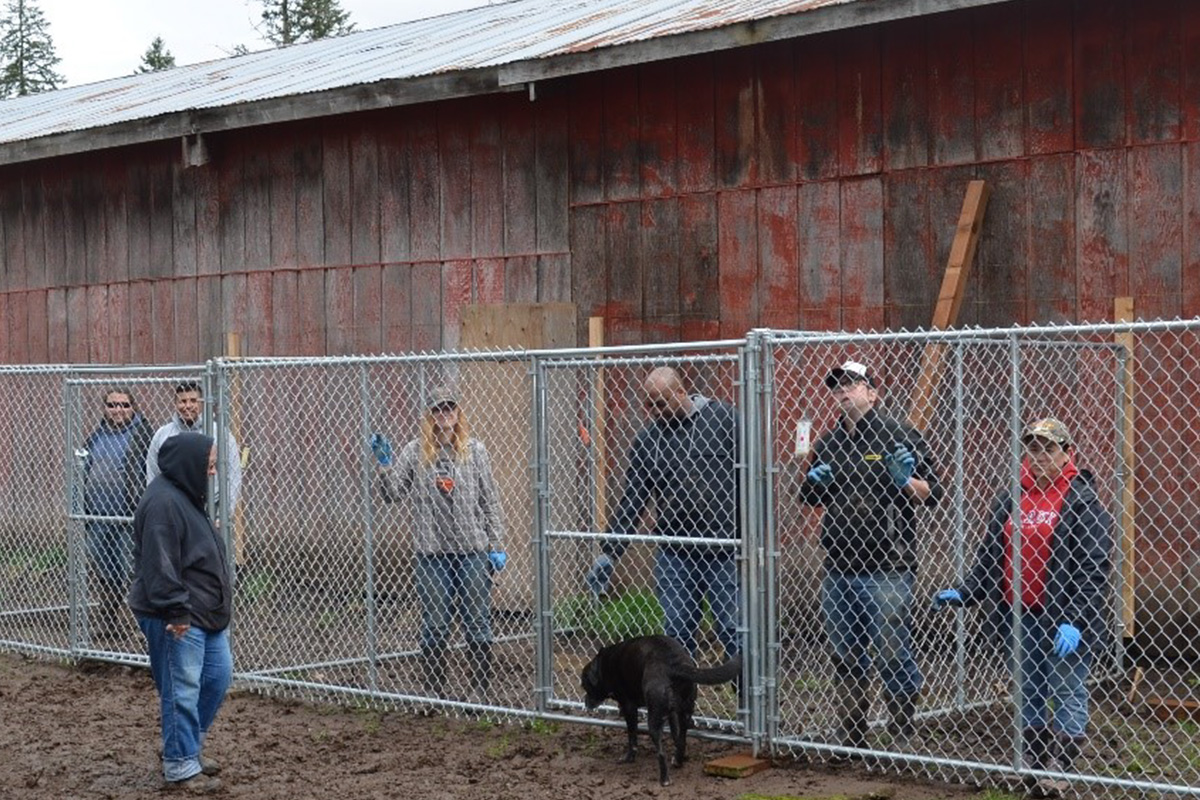 Research team helps Linn County Animal Rescue - USA