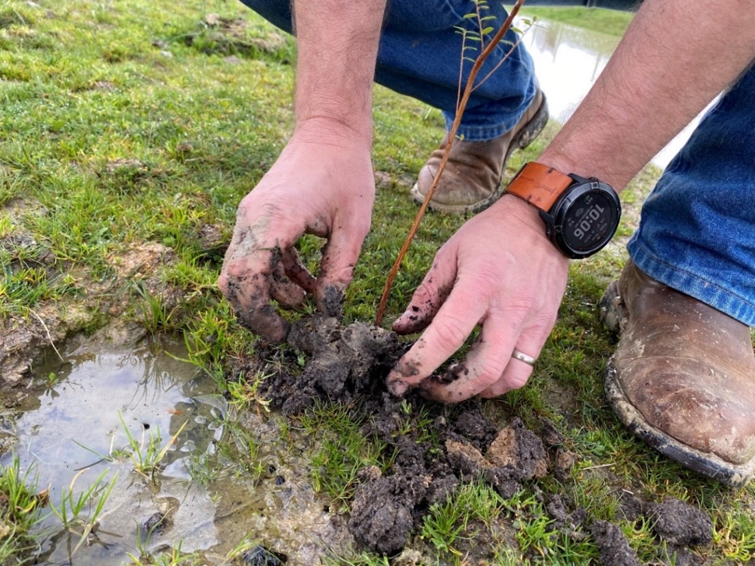 Barenbrug Australia gets to the roots of building a more sustainable future - Australia